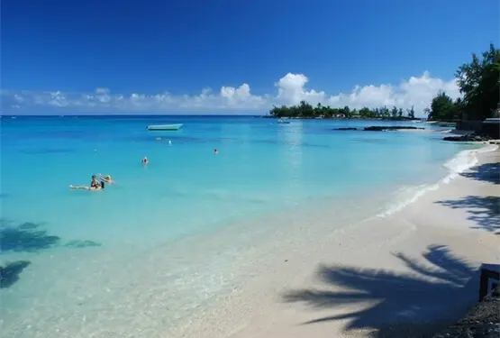 Rencontres Romantiques à Tenerife : Évasion Idéale pour Célibataires - Agence matrimoniale Unicis